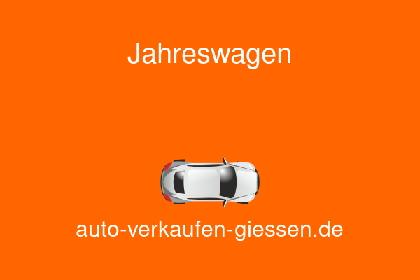 Auto verkaufen Gießen